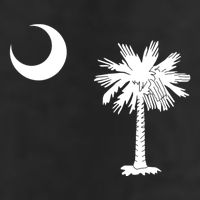 South Carolina State Flag Palmetto Moon Sc Pride Adult Drive Performance Visor