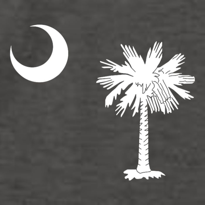South Carolina State Flag Palmetto Moon Sc Pride Vector Backpack