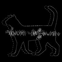 Schrodinger's Cat Schrodinger's Wave Equation Quantum Physic Mousepad