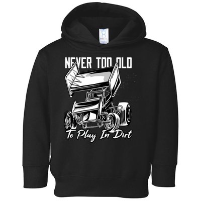 Sprint Car Toddler Hoodie