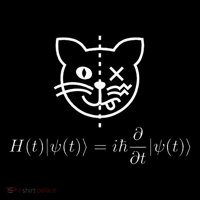 SchrodingerS Cat Science Quantum Mechanics Math Equation Button