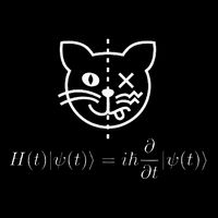 SchrodingerS Cat Science Quantum Mechanics Math Equation Drawstring Bag