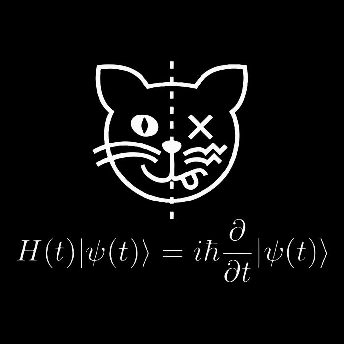 SchrodingerS Cat Science Quantum Mechanics Math Equation Drawstring Bag