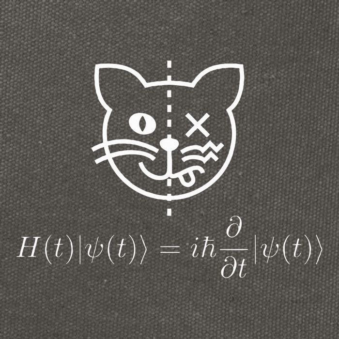 SchrodingerS Cat Science Quantum Mechanics Math Equation Cotton Canvas Backpack