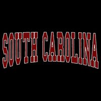 South Carolina Premium T-Shirt