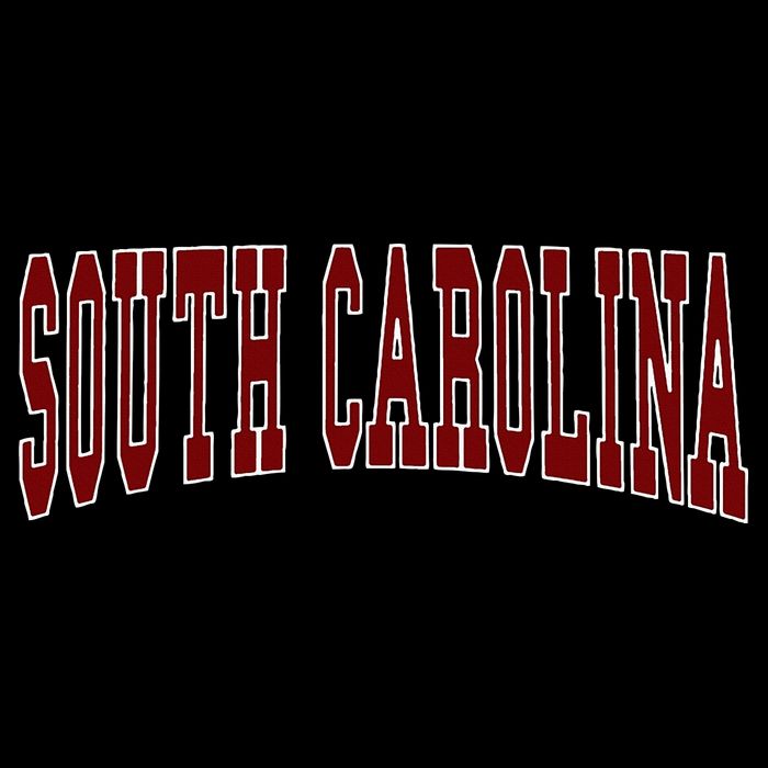 South Carolina Premium T-Shirt