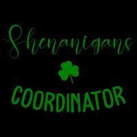 Shenanigans Coordinator 16oz Travel Tumbler