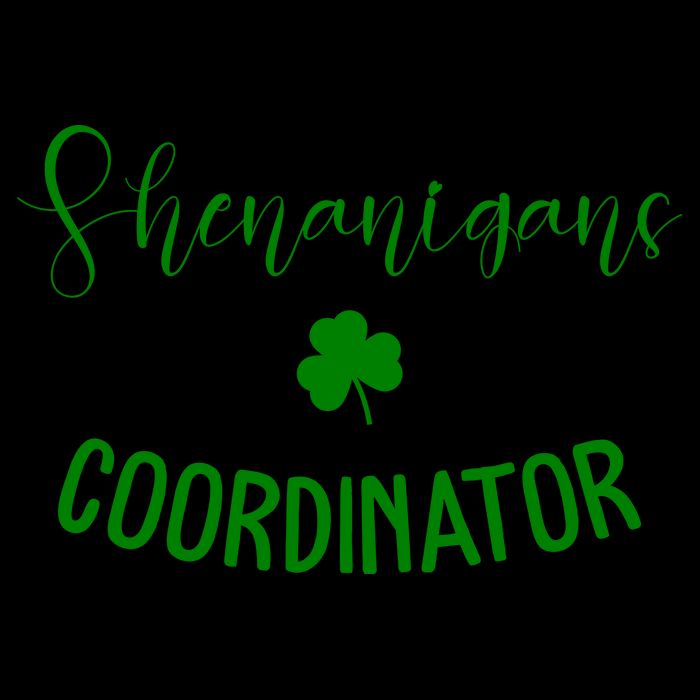 Shenanigans Coordinator 16oz Travel Tumbler