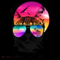 Summer Cat Poster
