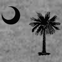 South Carolina State Flag Palmetto Moon SC Pride Tall Sweatshirt