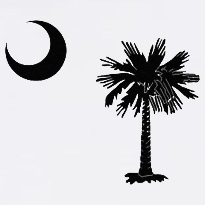 South Carolina State Flag Palmetto Moon SC Pride Button