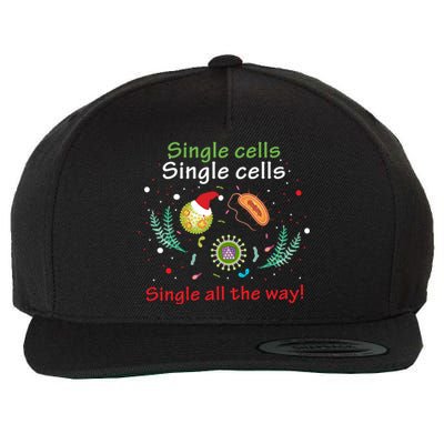 Single Cells Single Cells Science Biology Christmas Gift Wool Snapback Cap