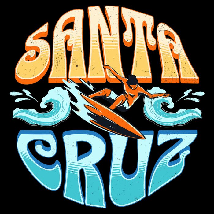 Santa Cruz Wool Snapback Cap