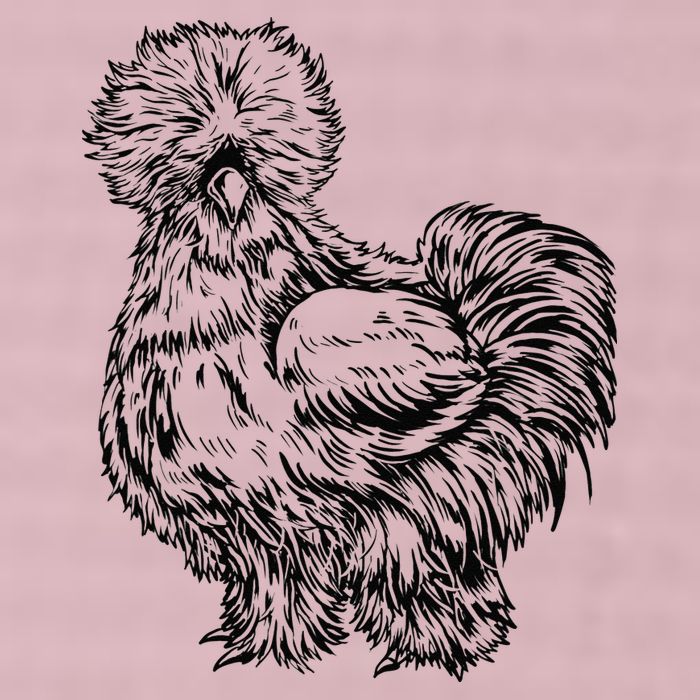 Silkie Chicken 25L Jumbo Tote