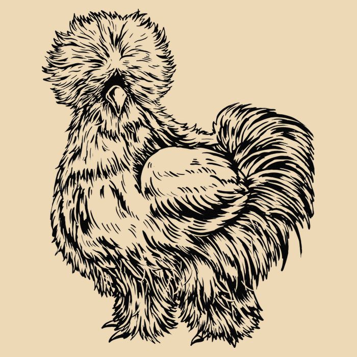Silkie Chicken Drawstring Bag