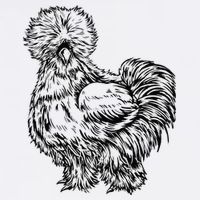 Silkie Chicken Adult Drive Performance Visor