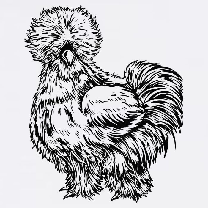 Silkie Chicken Adult Drive Performance Visor
