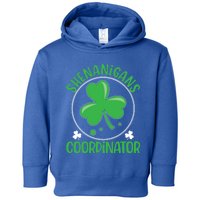 Shenanigans Coordinator Teachers St Patricks Day Gift Meaningful Gift Toddler Hoodie