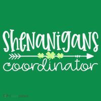 Shenanigans Coordinator Teacher St Patricks Day Shenanigans Hoodie