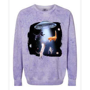 Space Cats UFO Colorblast Crewneck Sweatshirt