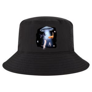 Space Cats UFO Cool Comfort Performance Bucket Hat