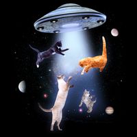 Space Cats UFO Hoodie