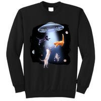 Space Cats UFO Sweatshirt