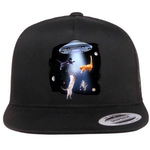 Space Cats UFO Flat Bill Trucker Hat