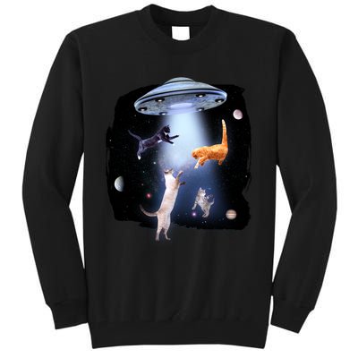 Space Cats UFO Tall Sweatshirt