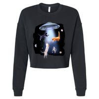 Space Cats UFO Cropped Pullover Crew