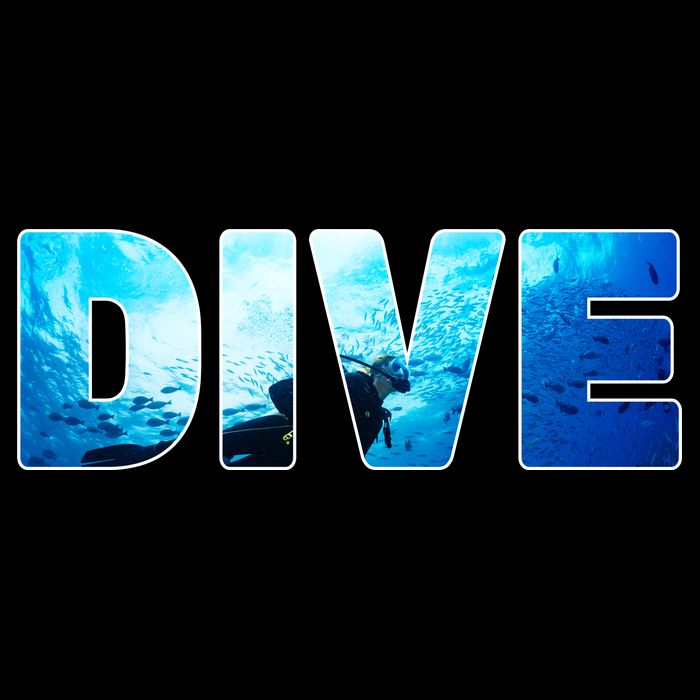 Scuba Diving Ocean Cropped Pullover Crew