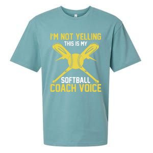 Softball Coaching Voice Great Gift Assistant Coach Softball Great Gift Sueded Cloud Jersey T-Shirt