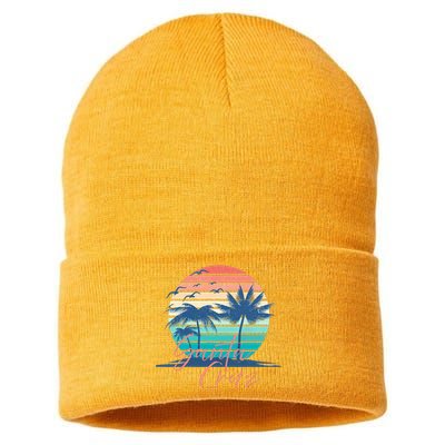 Santa Cruz Vintage Summer Vibes Beach Sunset Retro Palm Tree Sustainable Knit Beanie