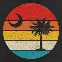 South Carolina Vintage State Flag Palmetto Moon Sc Pride Hat