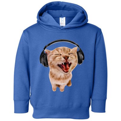 Silly Cat With Headphones Toddler Hoodie