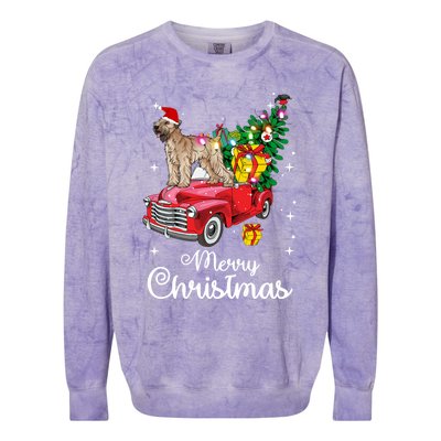 Soft Coated Wheaten Terrier Ride Red Truck Christmas Funny Gift Colorblast Crewneck Sweatshirt