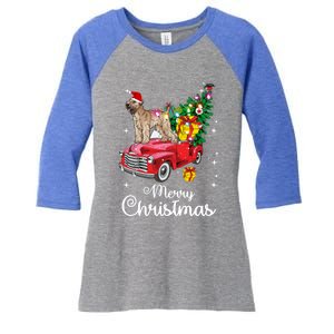 Soft Coated Wheaten Terrier Ride Red Truck Christmas Funny Gift Women's Tri-Blend 3/4-Sleeve Raglan Shirt