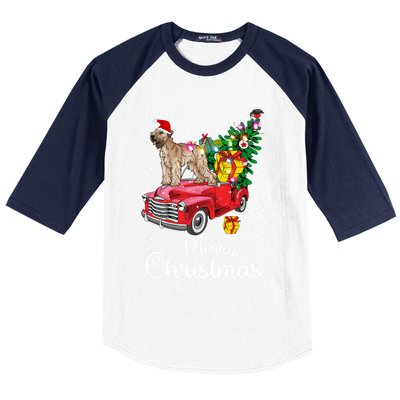 Soft Coated Wheaten Terrier Ride Red Truck Christmas Funny Gift Baseball Sleeve Shirt