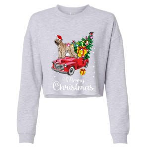 Soft Coated Wheaten Terrier Ride Red Truck Christmas Funny Gift Cropped Pullover Crew