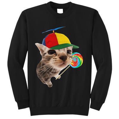 Silly Cat With Lollipop Meme Sweatshirt