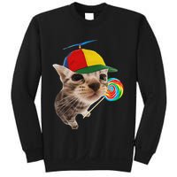 Silly Cat With Lollipop Meme Sweatshirt