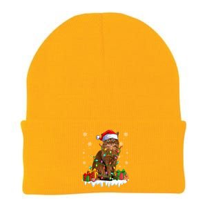 Somali Cat Xmas Light Christmas Kitten Lover Gift Knit Cap Winter Beanie