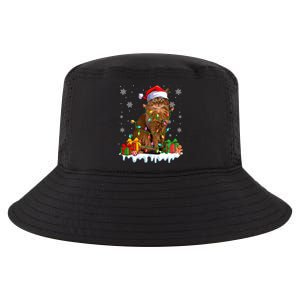 Somali Cat Xmas Light Christmas Kitten Lover Gift Cool Comfort Performance Bucket Hat