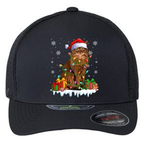 Somali Cat Xmas Light Christmas Kitten Lover Gift Flexfit Unipanel Trucker Cap