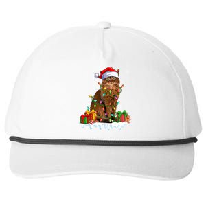 Somali Cat Xmas Light Christmas Kitten Lover Gift Snapback Five-Panel Rope Hat