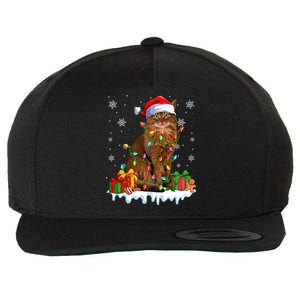 Somali Cat Xmas Light Christmas Kitten Lover Gift Wool Snapback Cap