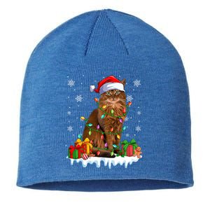 Somali Cat Xmas Light Christmas Kitten Lover Gift Sustainable Beanie