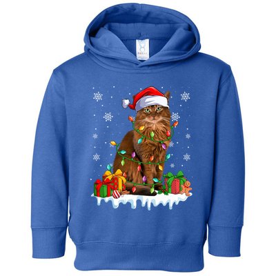 Somali Cat Xmas Light Christmas Kitten Lover Gift Toddler Hoodie