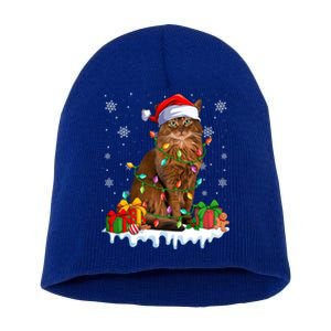 Somali Cat Xmas Light Christmas Kitten Lover Gift Short Acrylic Beanie