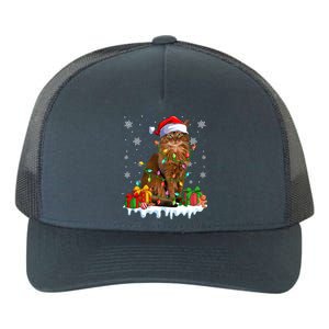 Somali Cat Xmas Light Christmas Kitten Lover Gift Yupoong Adult 5-Panel Trucker Hat